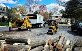 Mulching Services in Navarre, OH